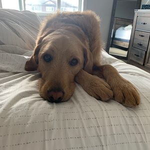 Meet your Posher, Jamie